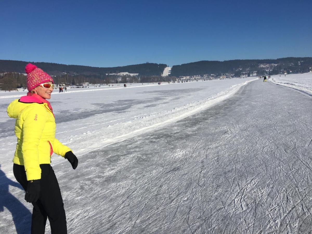 Rekreacni Domek Kobylnice Lipno Lipno nad Vltavou Bagian luar foto