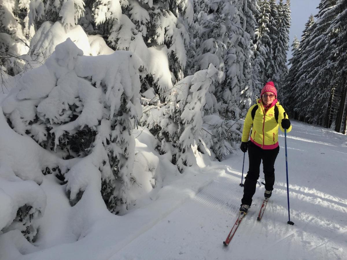 Rekreacni Domek Kobylnice Lipno Lipno nad Vltavou Bagian luar foto
